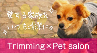 Trimming X Pet salon