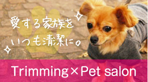 Trimming X Pet salon