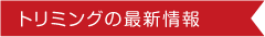 トリミングの最新情報